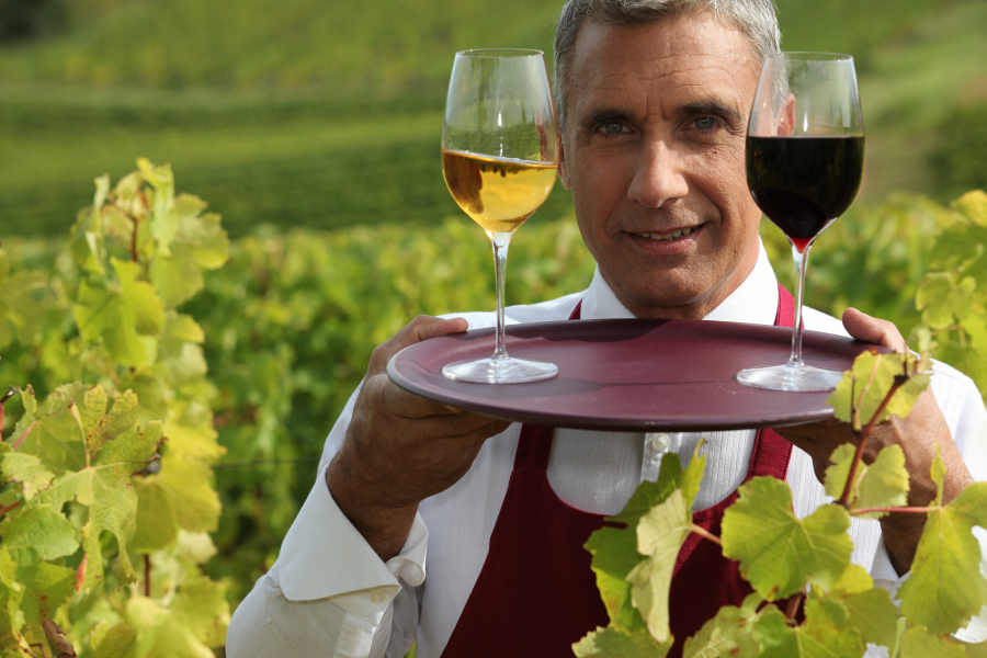 David Saroni : quand la passion du vin rencontre le terroir du Beaujolais